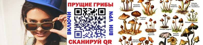 наркота  Хасавюрт  МЕГА ссылки  Галлюциногенные грибы GOLDEN TEACHER 